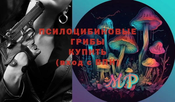 гидропоника Белоозёрский