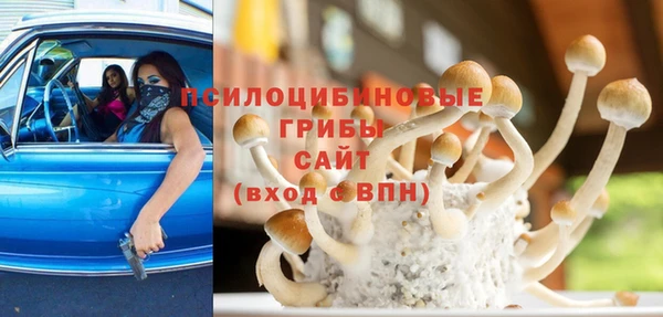 МДМА Белокуриха