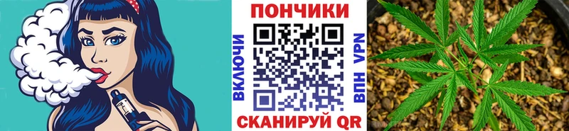 Бошки марихуана планчик  Карпинск 